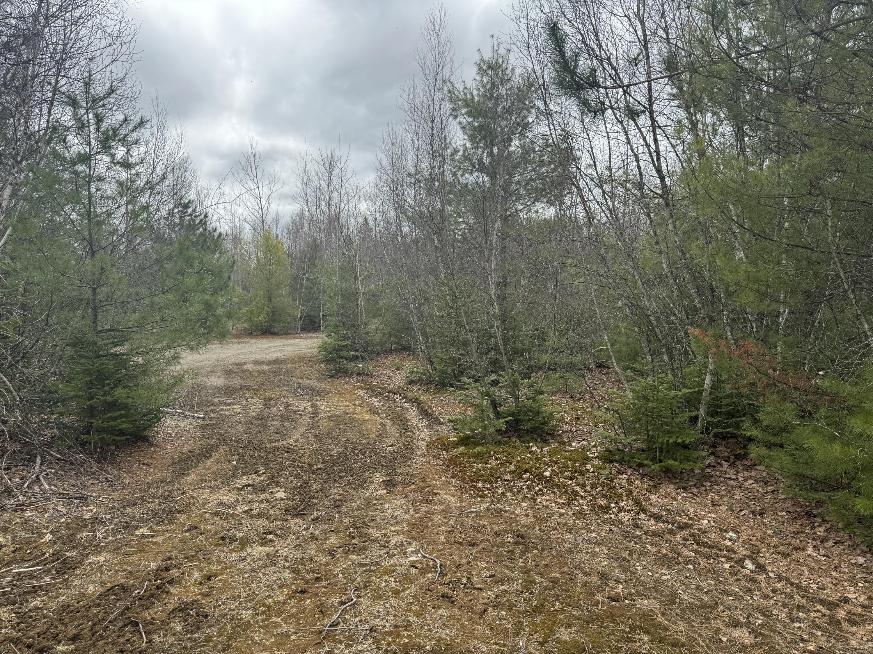 70 Range Road Garland, ME 04939 - Photo 4 of 11 IMG_4819