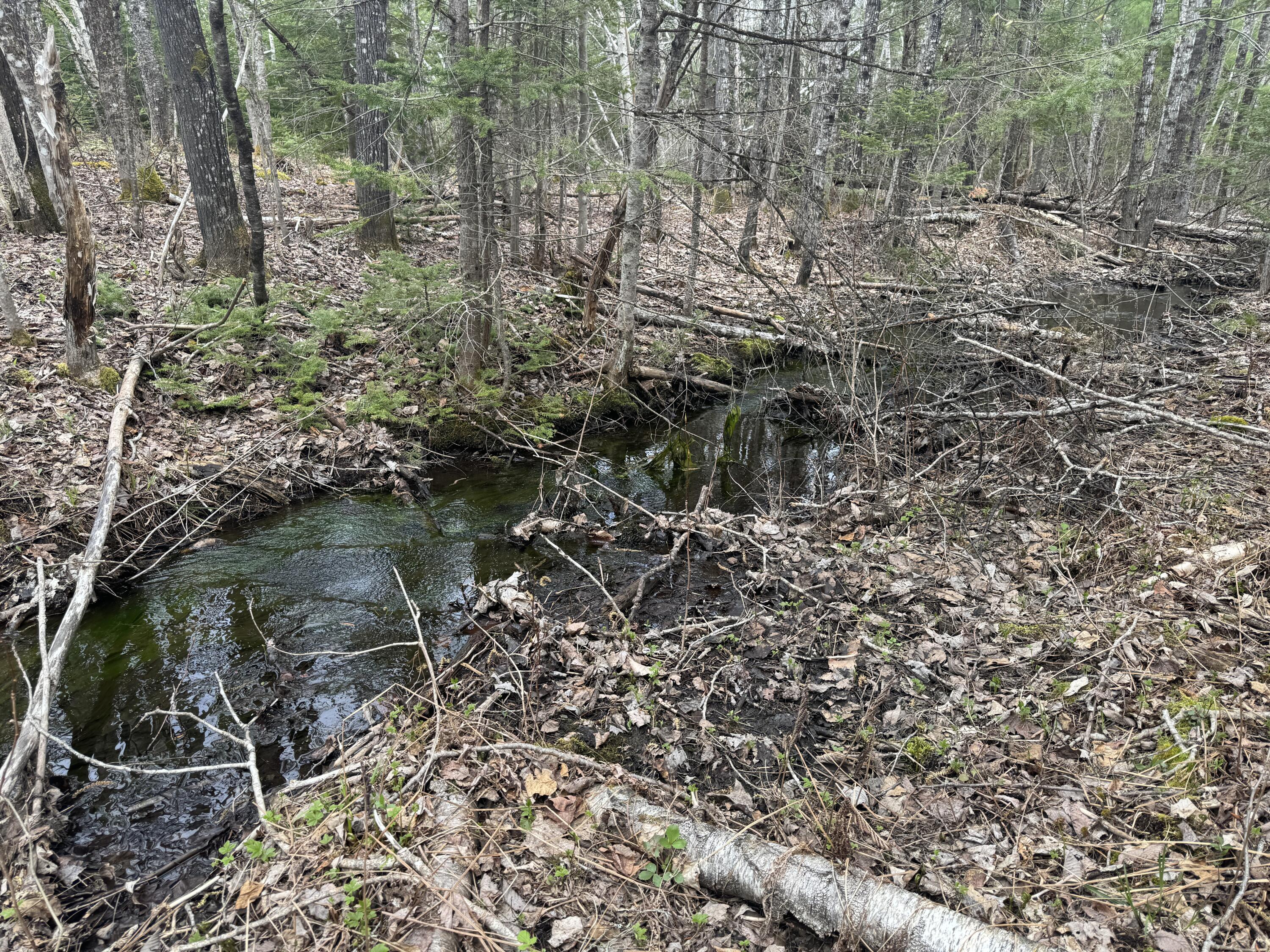 70 Range Road Garland, ME 04939 - Photo 8 of 11 IMG_4821