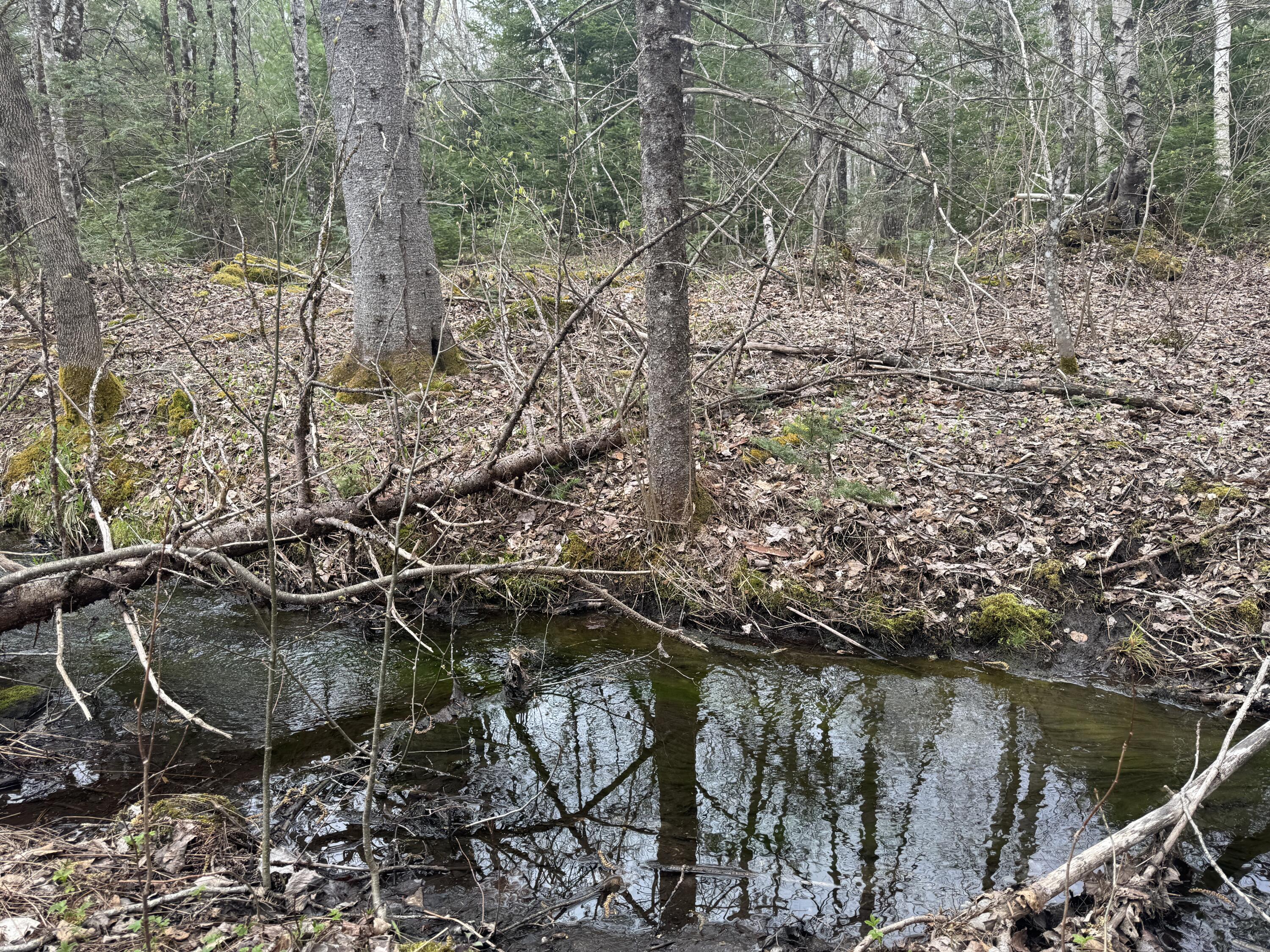 70 Range Road Garland, ME 04939 - Photo 9 of 11 IMG_4822