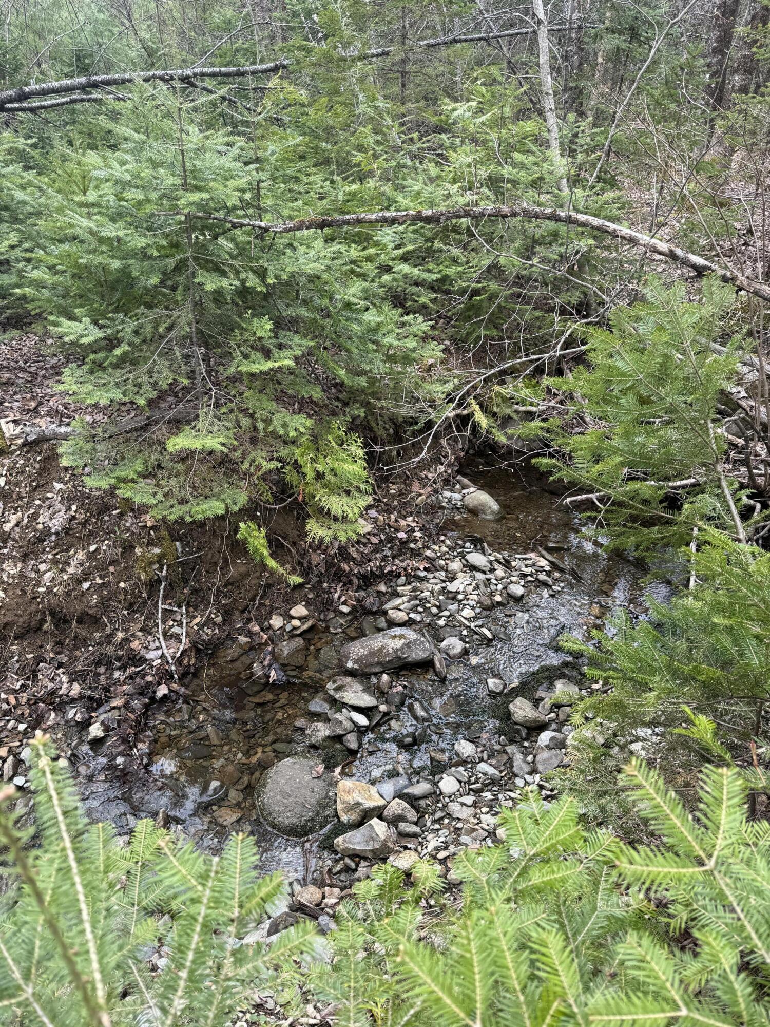 70 Range Road Garland, ME 04939 - Photo 10 of 11 IMG_4825