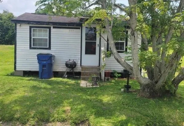 a view of backyard with two chairs plants and large tree