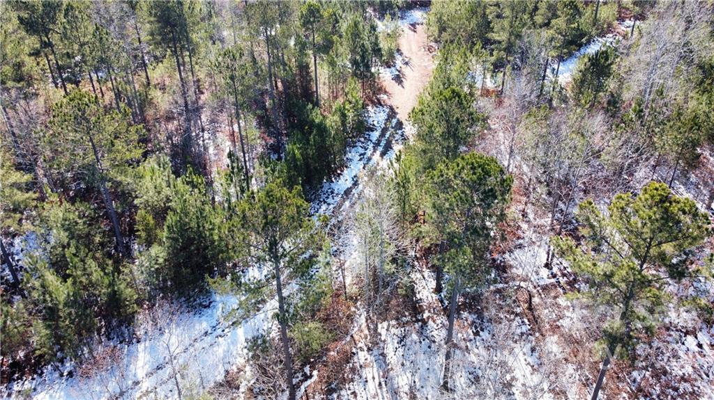 0 Hugh Champion Road, Unit 19 1326 2861 Tryon, NC 28782 - Photo 4 of 7