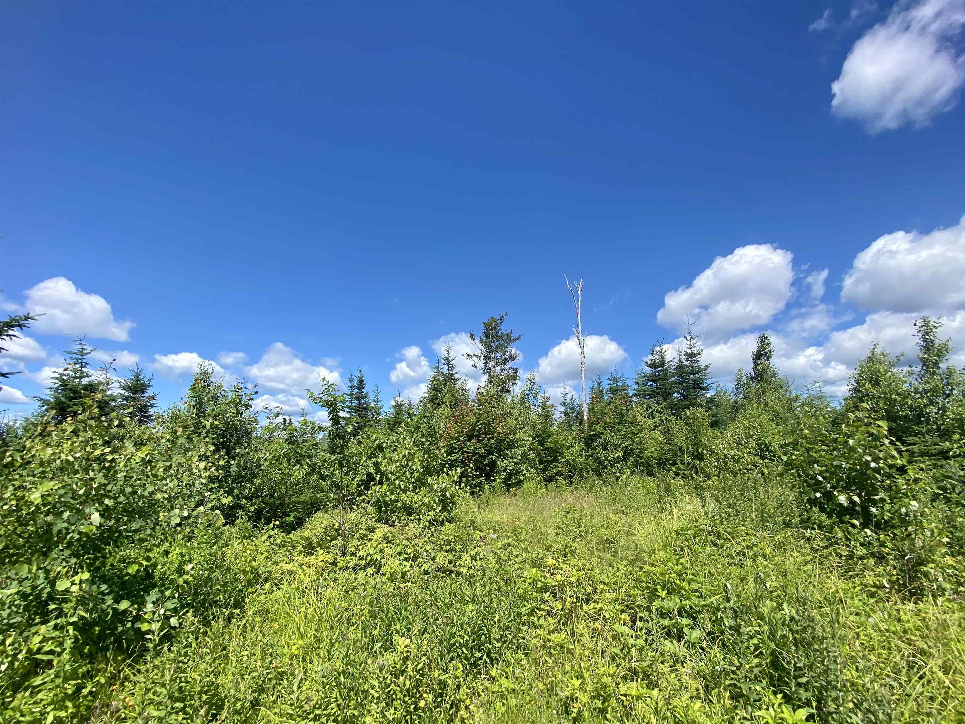 0 Quimby Road, Unit 16 Stewartstown, NH 03576 - Photo 1 of 15