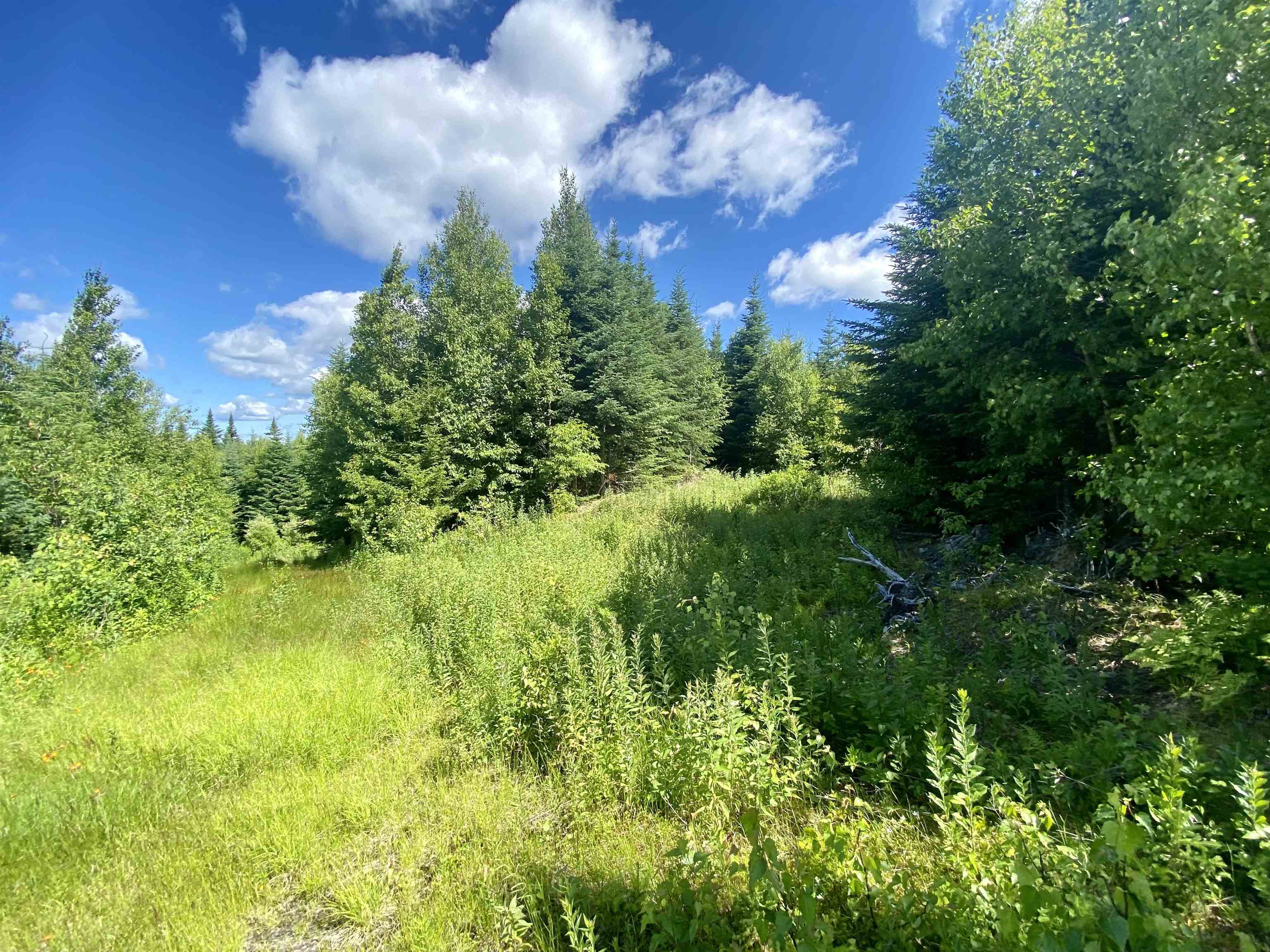 0 Quimby Road, Unit 16 Stewartstown, NH 03576 - Photo 11 of 15