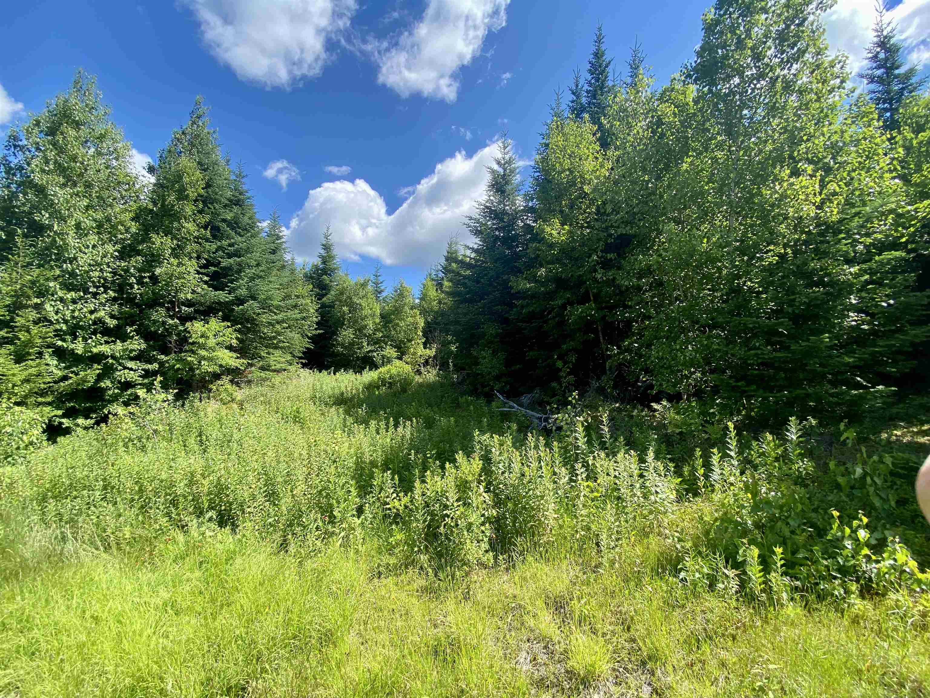 0 Quimby Road, Unit 16 Stewartstown, NH 03576 - Photo 15 of 15