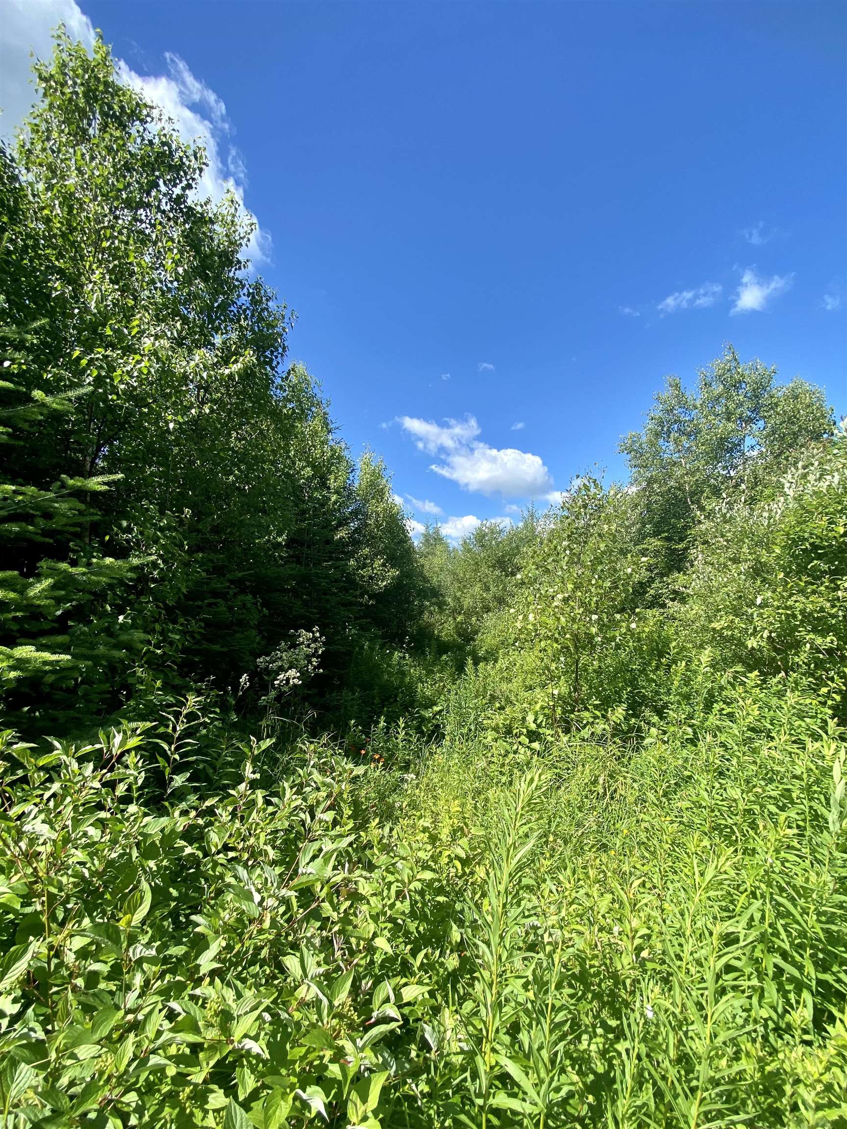 0 Quimby Road, Unit 16 Stewartstown, NH 03576 - Photo 8 of 15