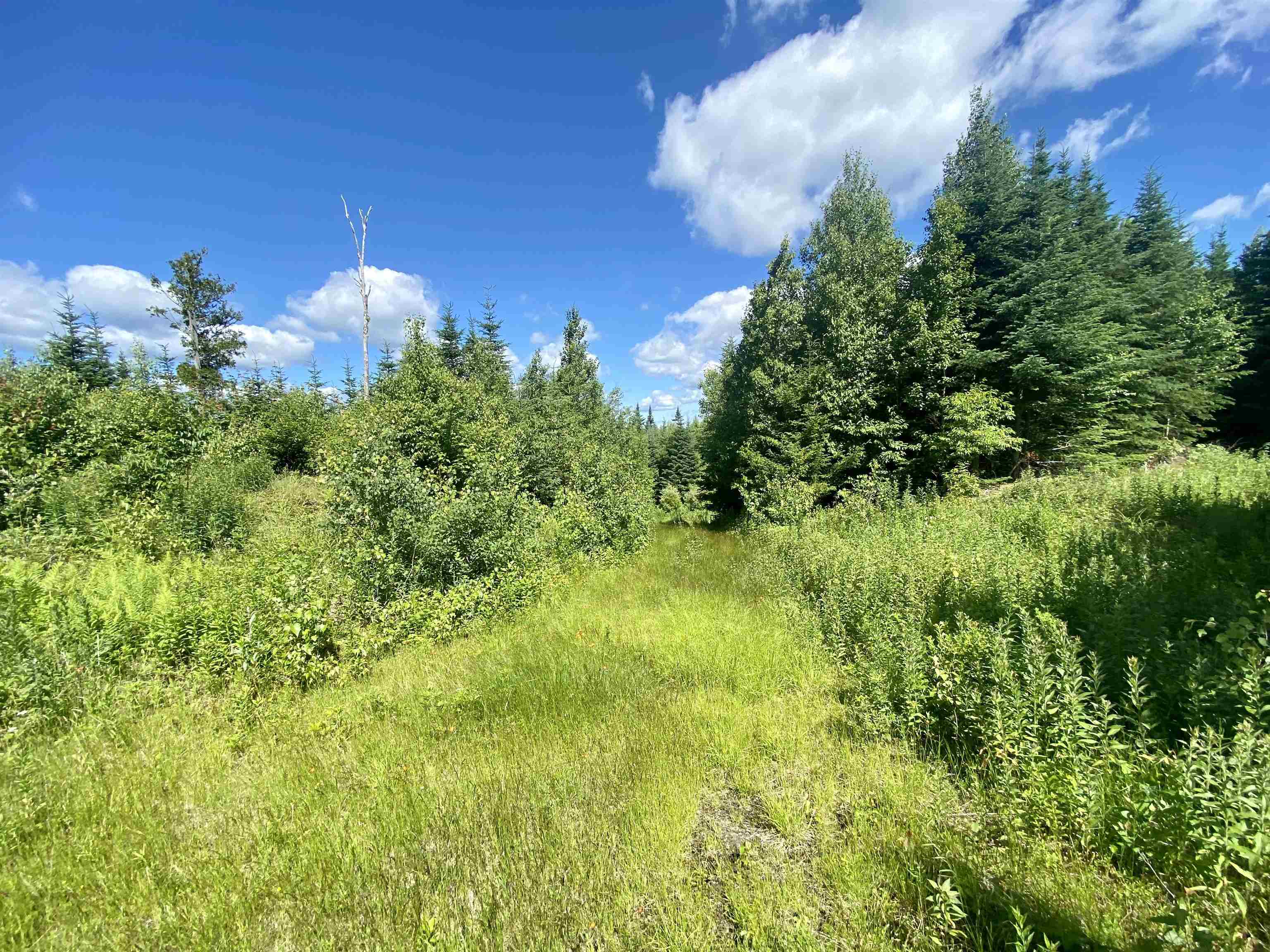 0 Quimby Road, Unit 16 Stewartstown, NH 03576 - Photo 10 of 15