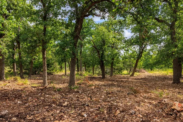 $359,900 | 0 Adj Lane, Fredericksburg, TX 78624