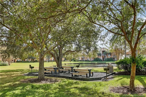 a view of a park with large trees