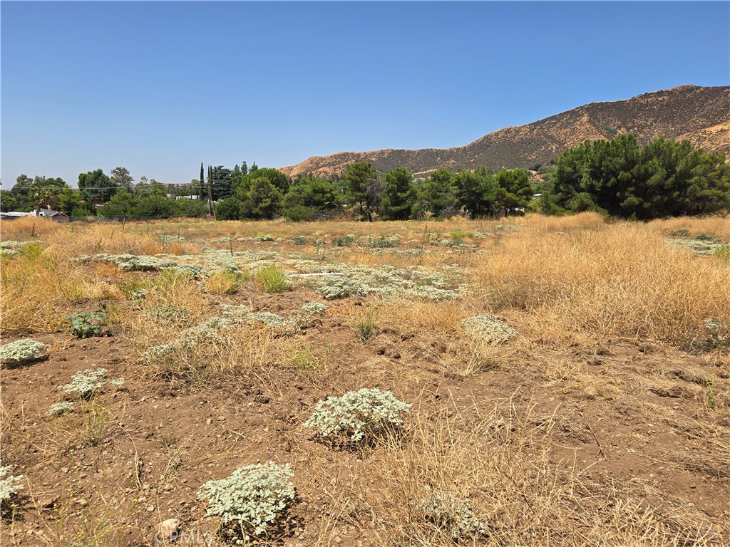 9575 Oak Glen Road Cherry Valley, CA 92223 - Photo 8 of 11 a view of lake with mountain