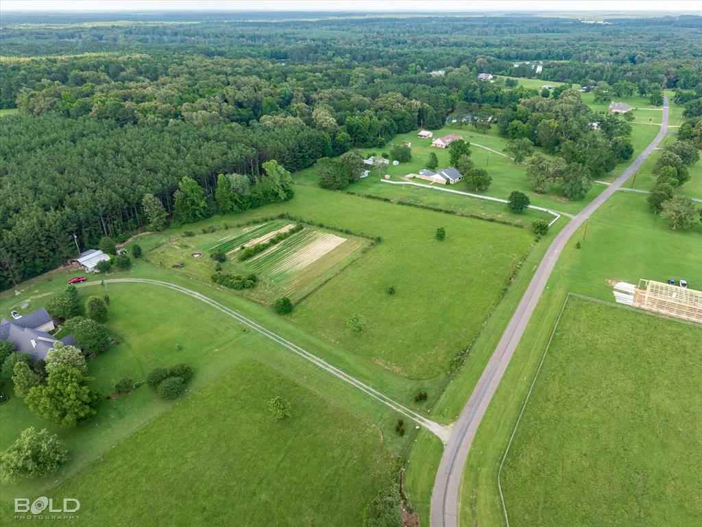 0 Twin Lakes Road Mansfield, LA 71052 - Photo 5 of 28 Expansive green acreage featuring a cultivated garden, mature trees, a paved road, and substantial forested areas