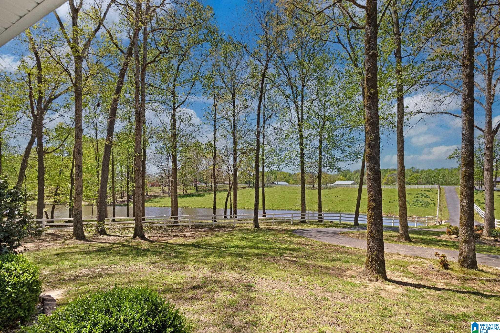 253 County Road 203 Boaz, AL 35957 - Photo 42 of 59