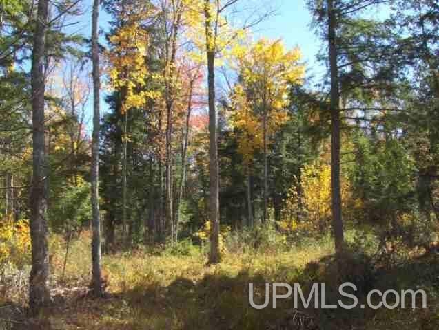Tbd Irwin Road Baraga, MI 49908 - Photo 27 of 27