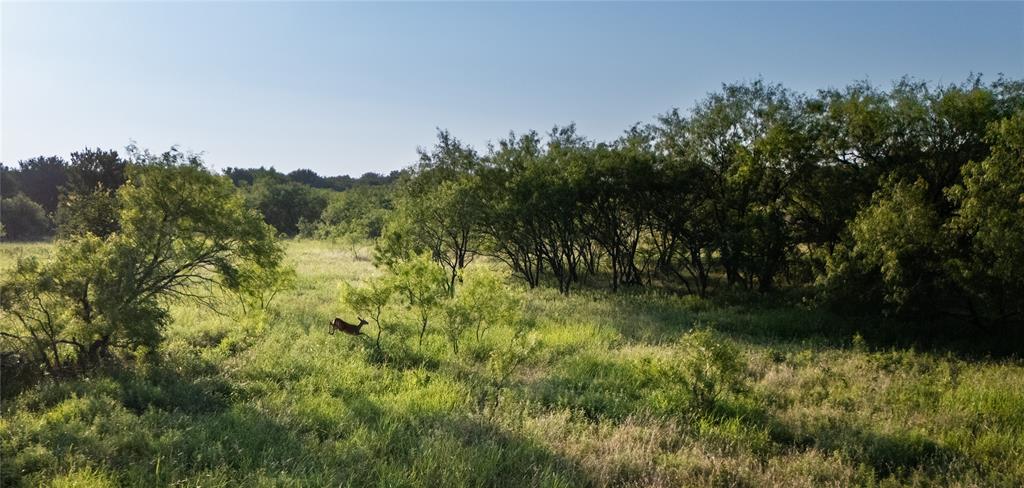 1320 Tidwell Road Weatherford, TX 76087 - Photo 4 of 17