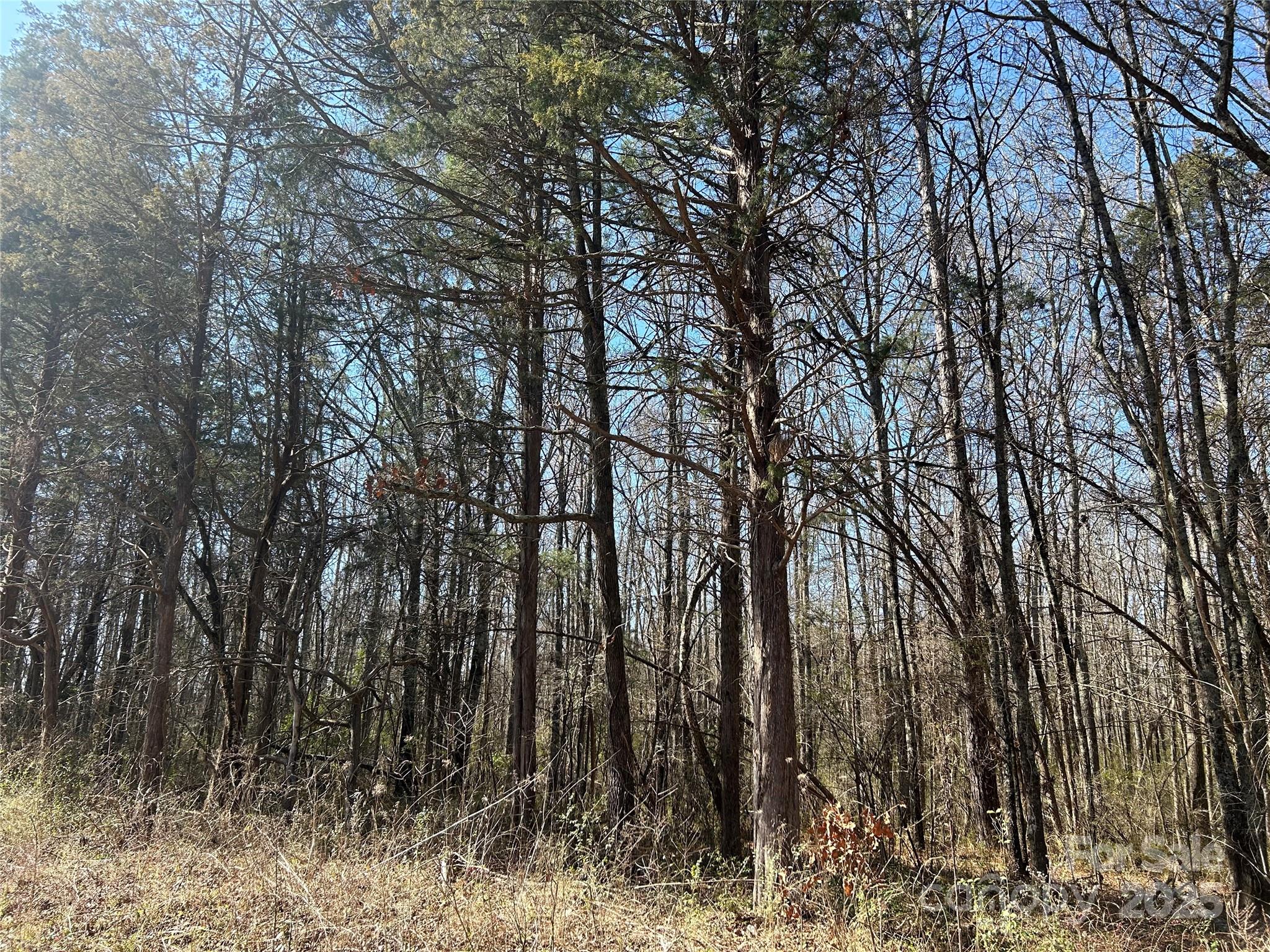 62-ac Bridgewater Road Rock Hill, SC 29730 - Photo 27 of 45