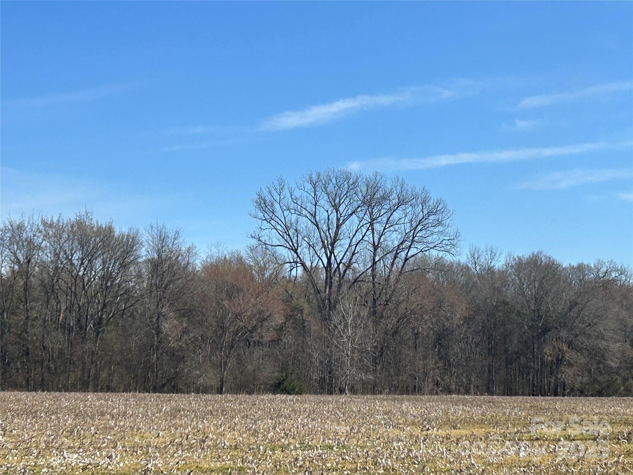 62-ac Bridgewater Road Rock Hill, SC 29730 - Photo 41 of 45