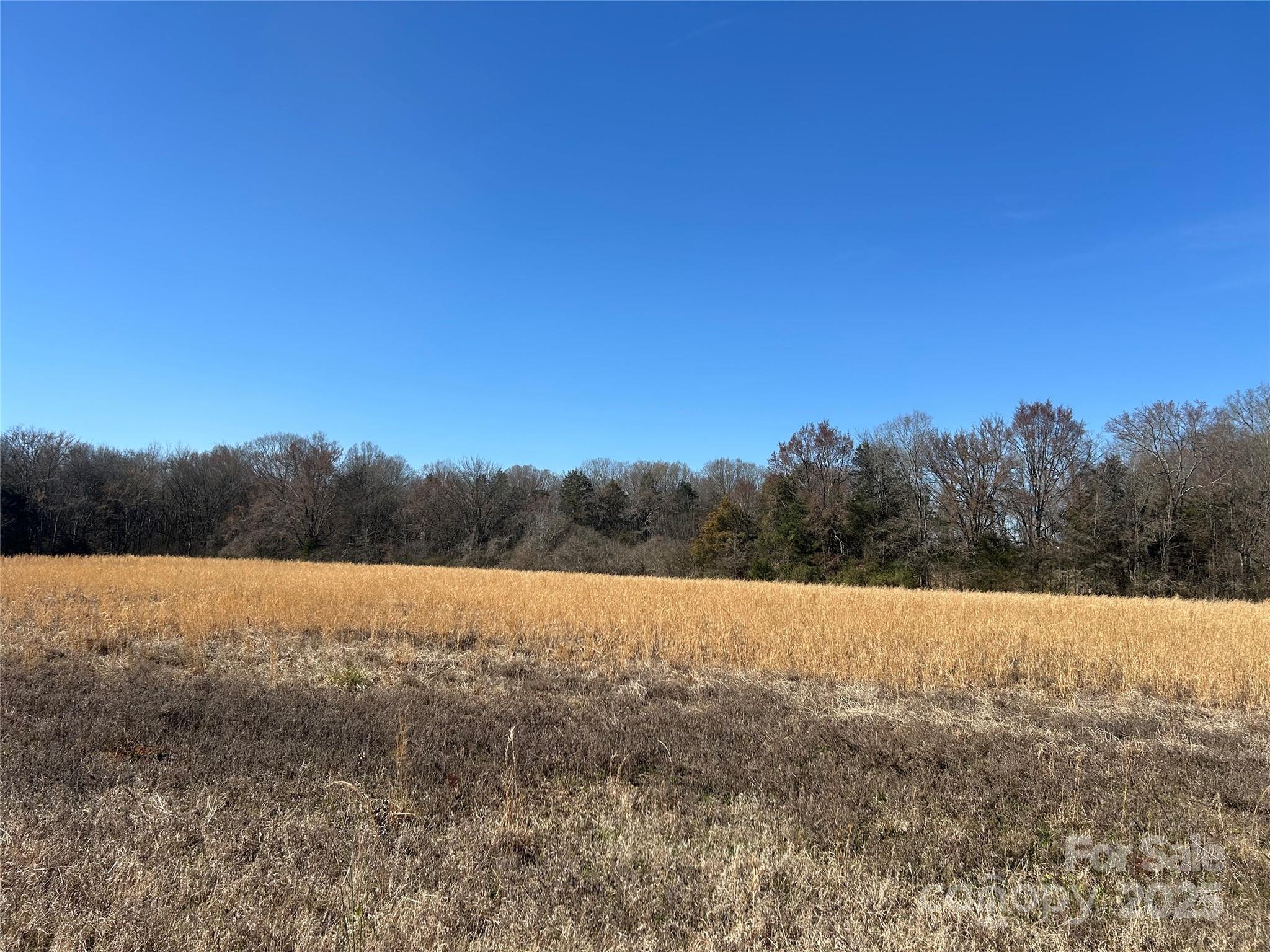 62-ac Bridgewater Road Rock Hill, SC 29730 - Photo 6 of 45