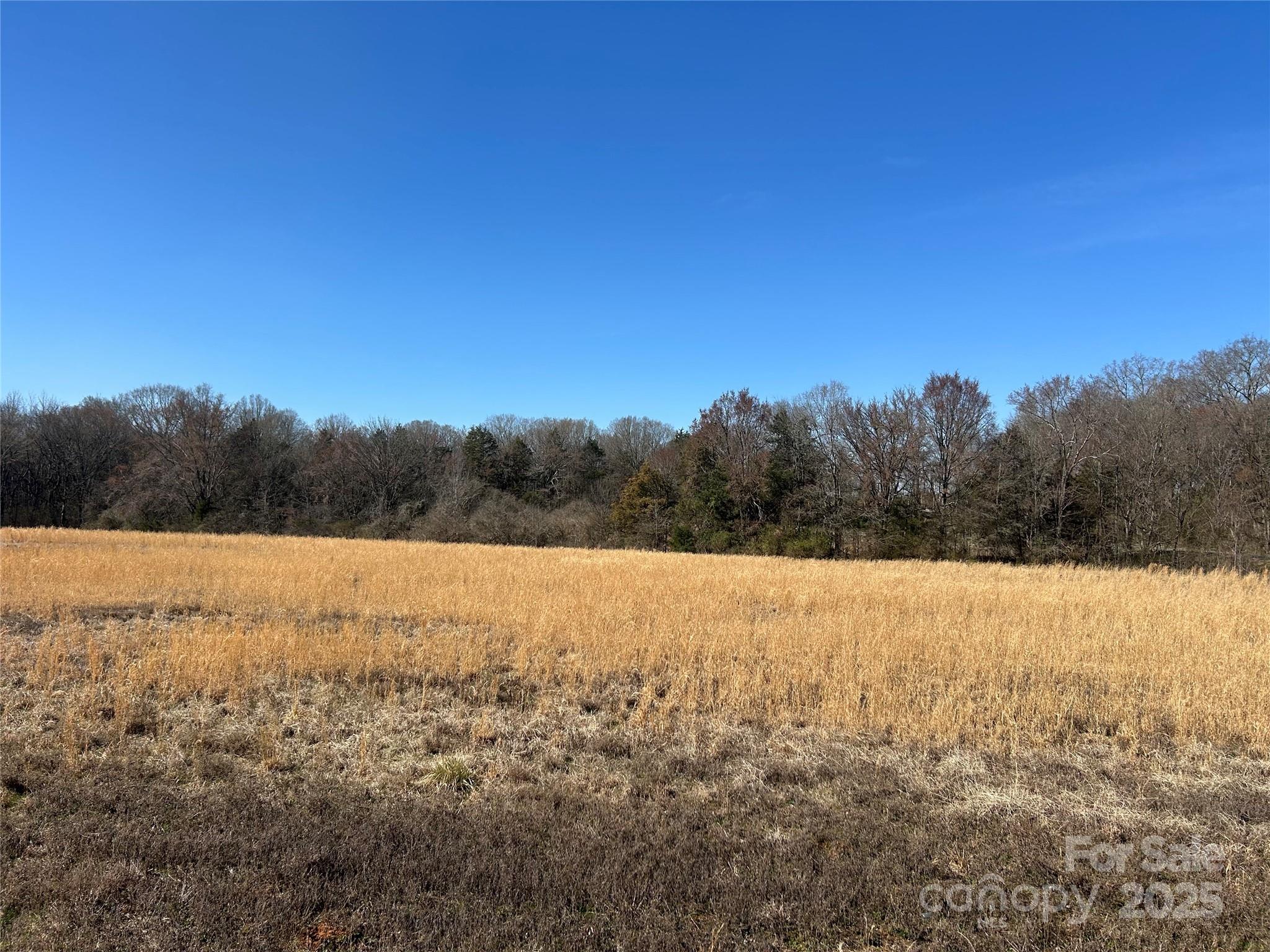 62-ac Bridgewater Road Rock Hill, SC 29730 - Photo 9 of 45