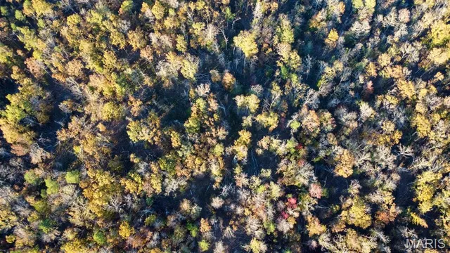 $240,000 | 0 Bb Highway, Doniphan, MO 63935