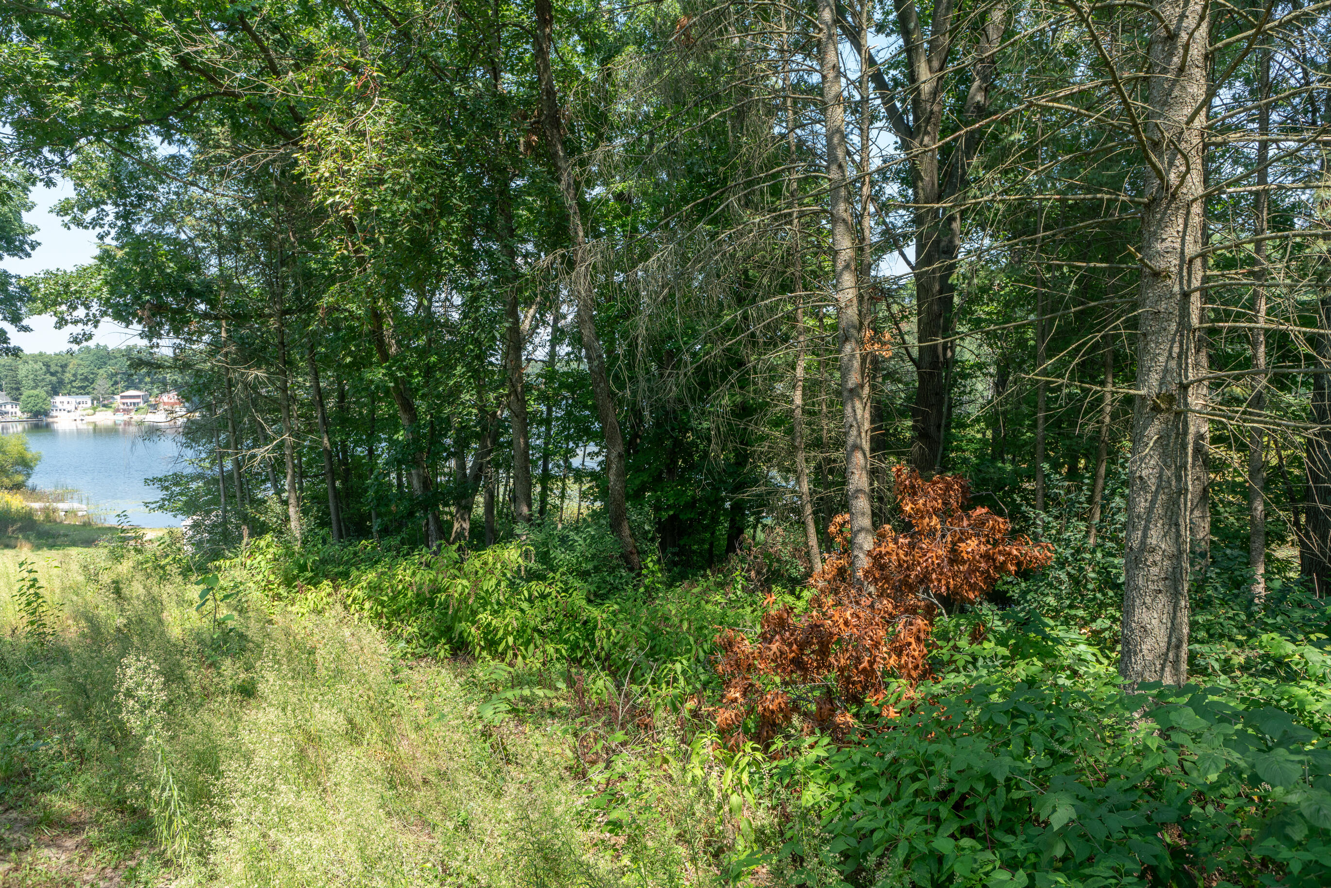 0 Hart Road Twin Lake, MI 49457 - Photo 1 of 6 3