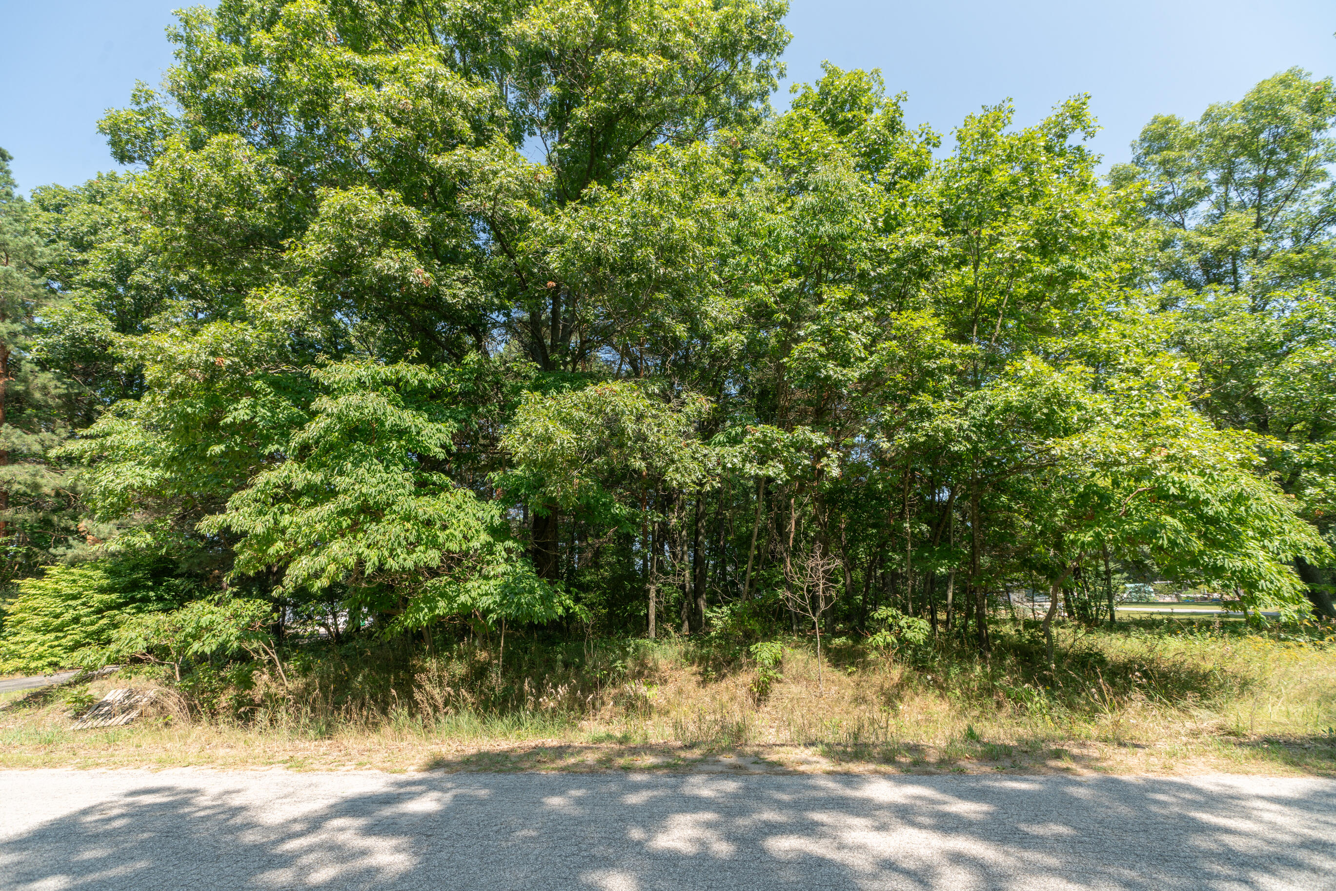 0 Hart Road Twin Lake, MI 49457 - Photo 2 of 6 1