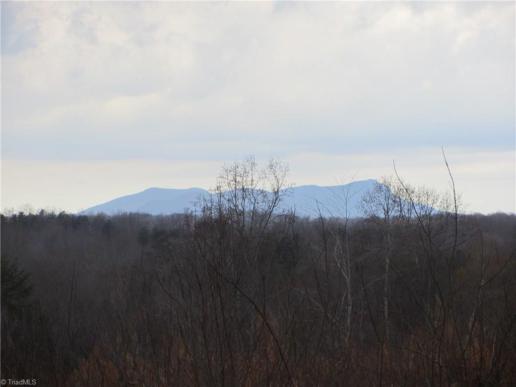 Lot 1 Oak Road Mayodan, NC 27027 - Photo 1 of 4