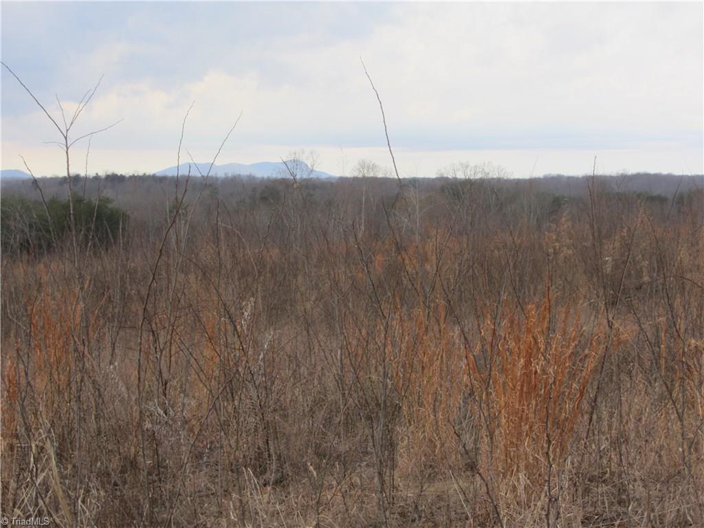 Lot 1 Oak Road Mayodan, NC 27027 - Photo 2 of 4