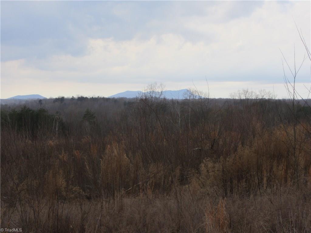 Lot 1 Oak Road Mayodan, NC 27027 - Photo 3 of 4