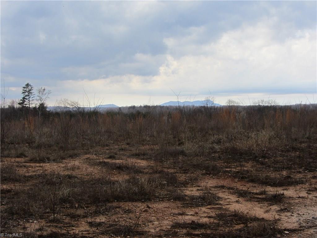 Lot 1 Oak Road Mayodan, NC 27027 - Photo 4 of 4