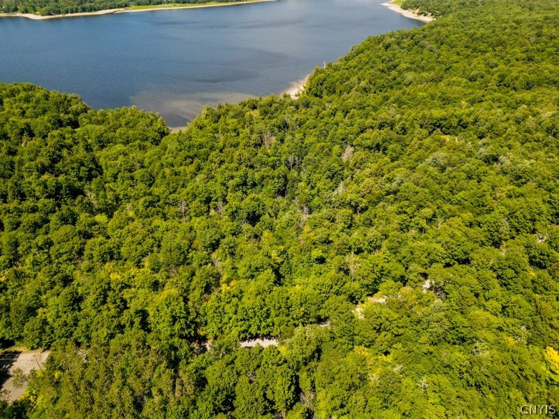 0 Brady Beach Road Cold Brook, NY 13324 - Photo 1 of 8 Gallery Image 1