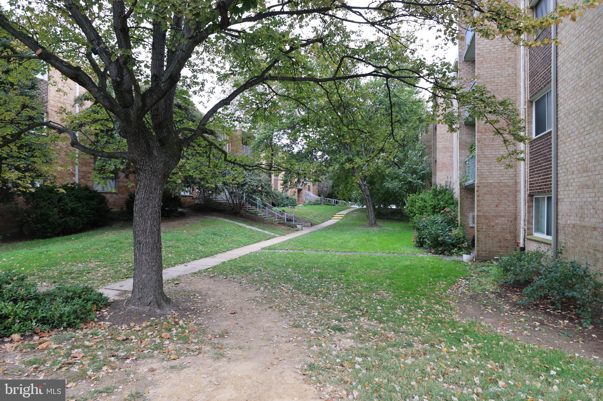 2906 Kings Chapel Road, Unit 6/4 Falls Church, VA 22042 - Photo 2 of 17 a view of a garden with large trees