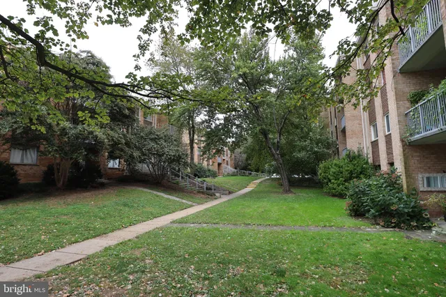 a view of a backyard with large trees