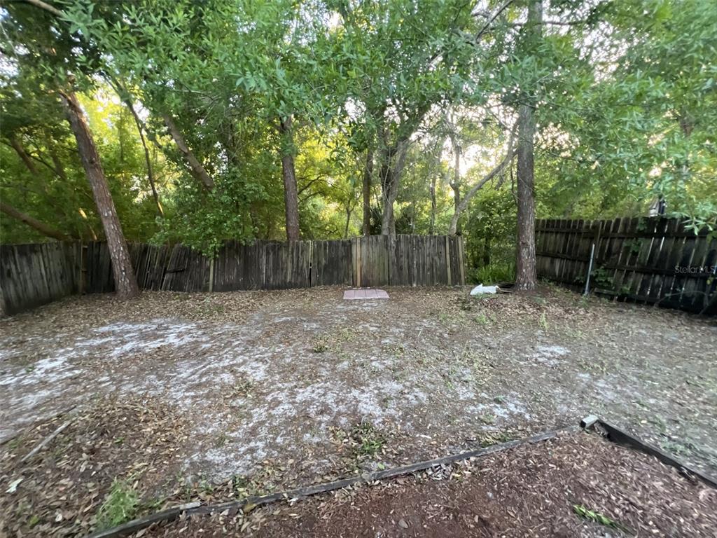 4843 Billy Direct Lane Lutz, FL 33559 - Photo 4 of 13