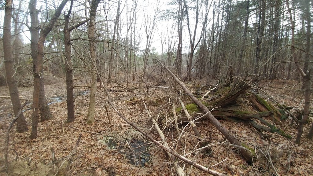 20 Wildmeadow Road Boxford, MA 01921 - Photo 4 of 40 Gallery Image 4