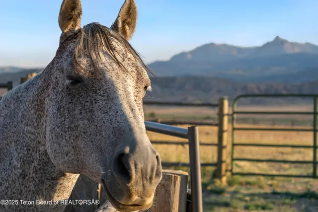 $7,315,000 | 14 Table Top Drive, Dubois, WY 82513