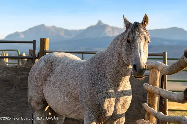 $7,315,000 | 14 Table Top Drive, Dubois, WY 82513