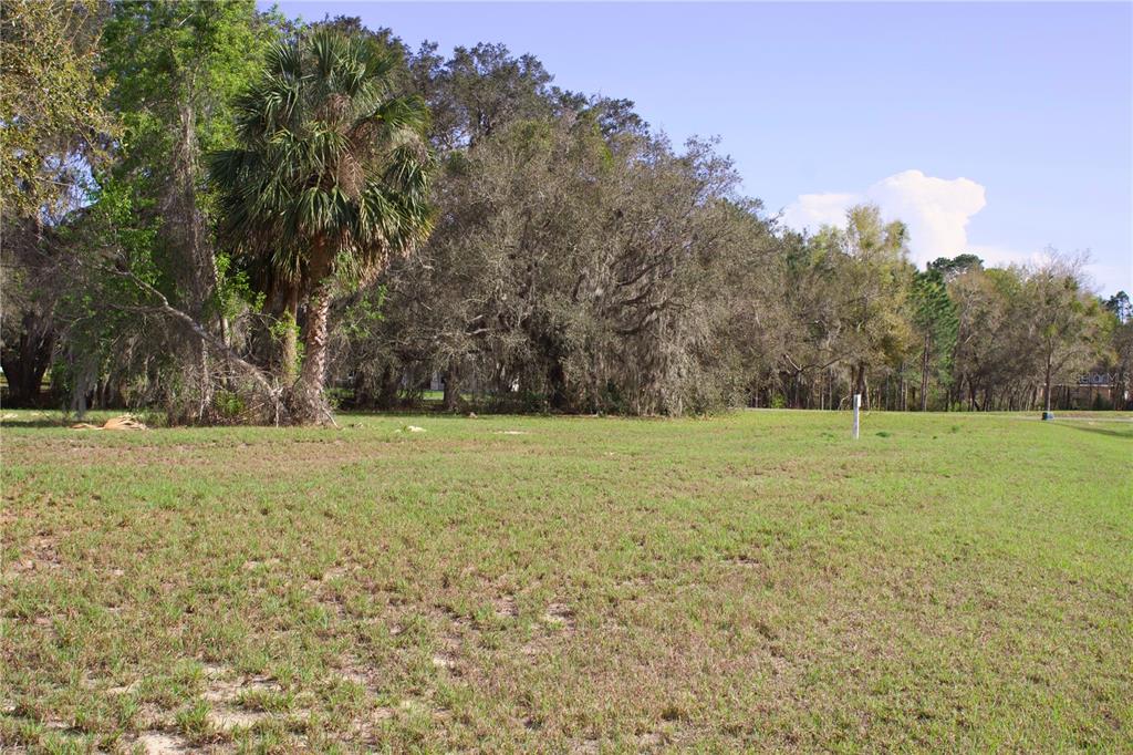 Ridge Road, Unit 47 Tavares, FL 32778 - Photo 12 of 41