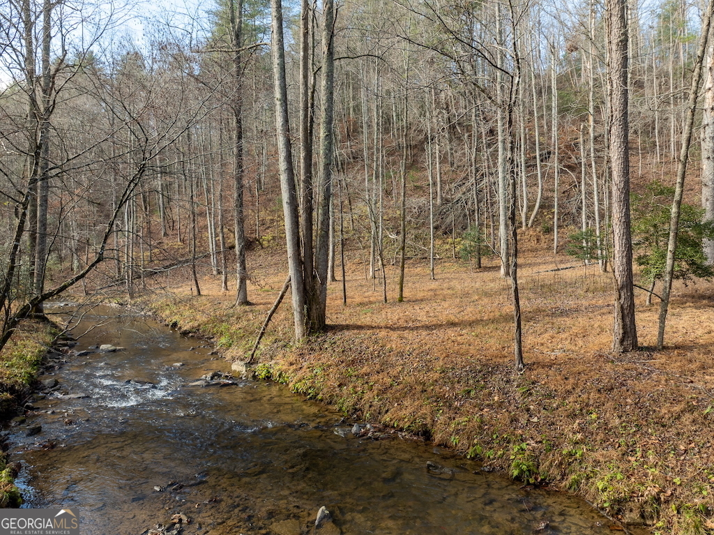a view of a yard with trees