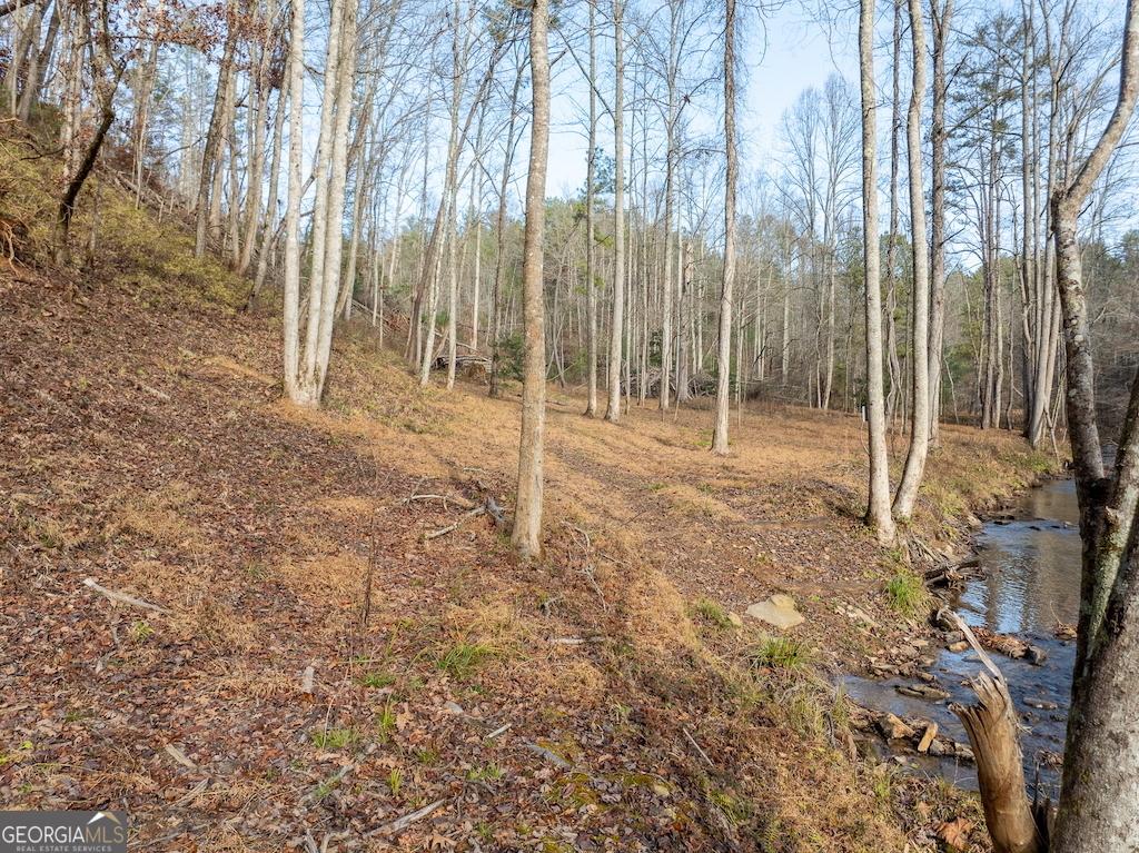 780 Banks Road Ellijay, GA 30540 - Photo 11 of 25 a backyard of a house with lots of tall trees