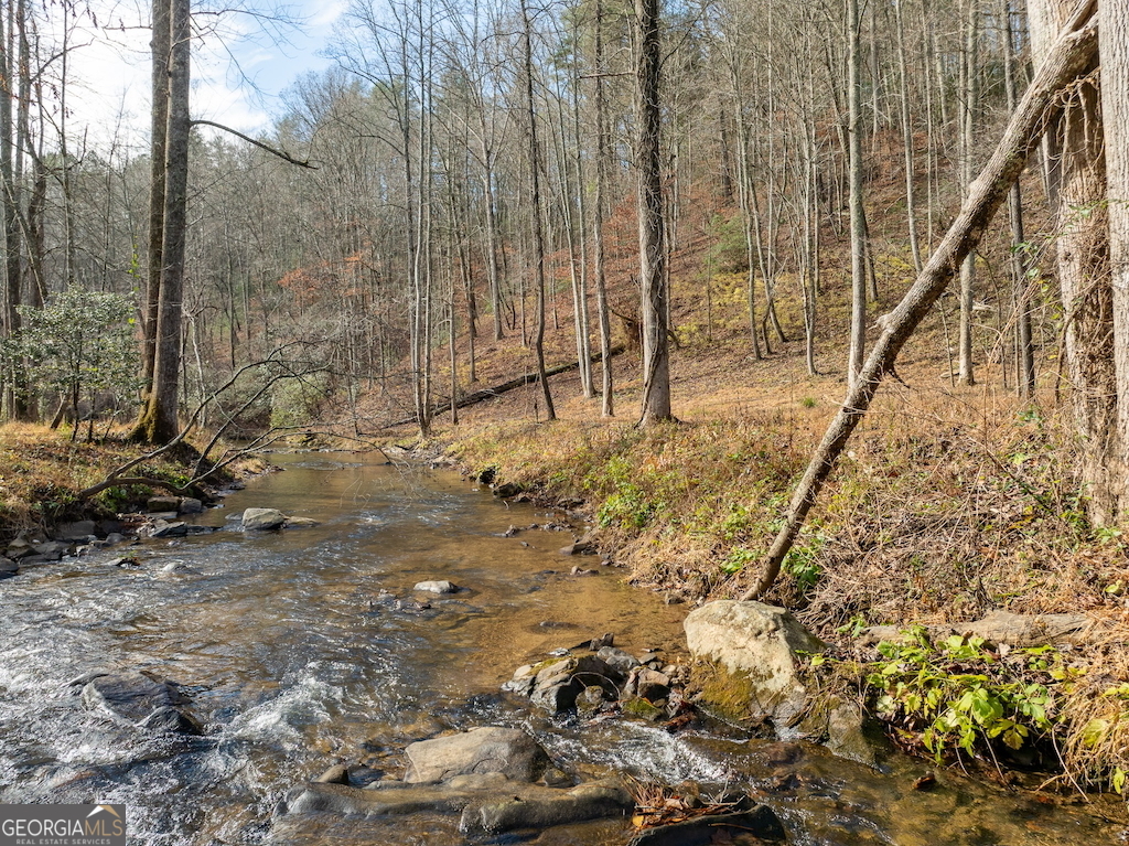 780 Banks Road Ellijay, GA 30540 - Photo 12 of 25
