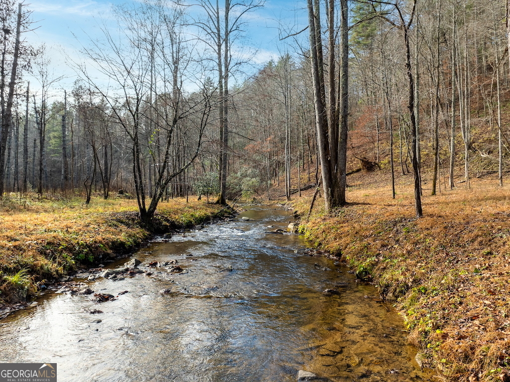780 Banks Road Ellijay, GA 30540 - Photo 13 of 25 a view of outdoor space with trees