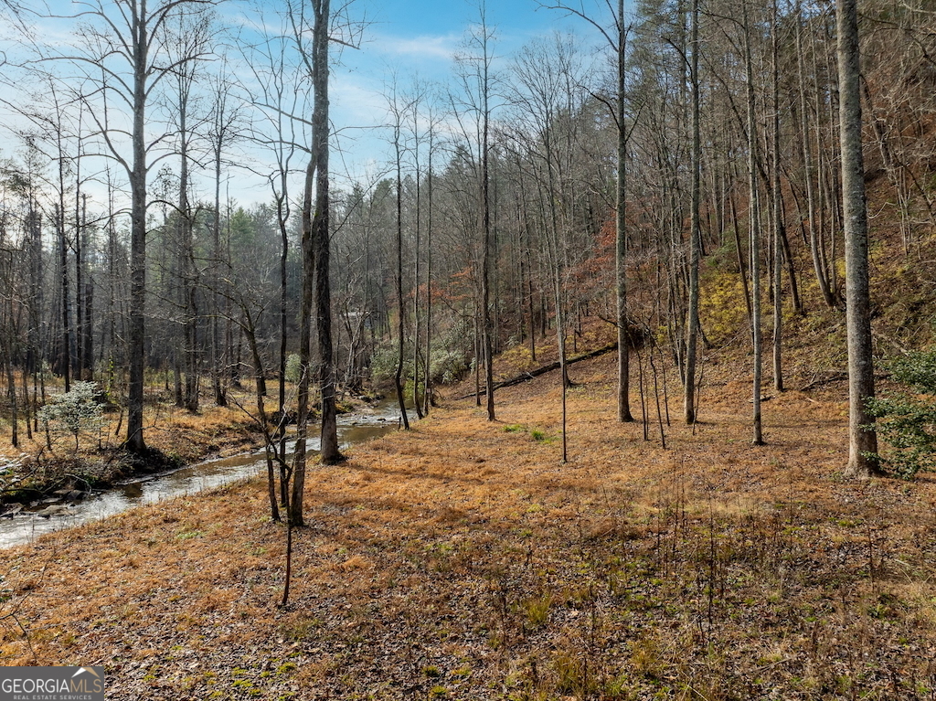 780 Banks Road Ellijay, GA 30540 - Photo 14 of 25 a view of outdoor space with trees