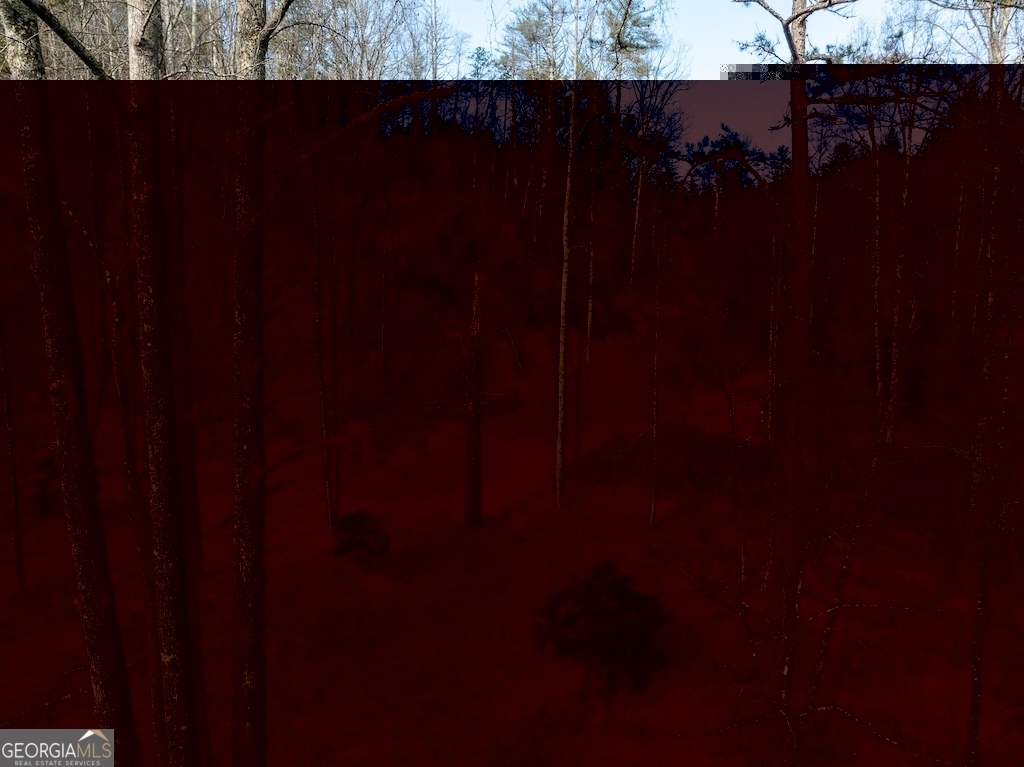 780 Banks Road Ellijay, GA 30540 - Photo 15 of 25