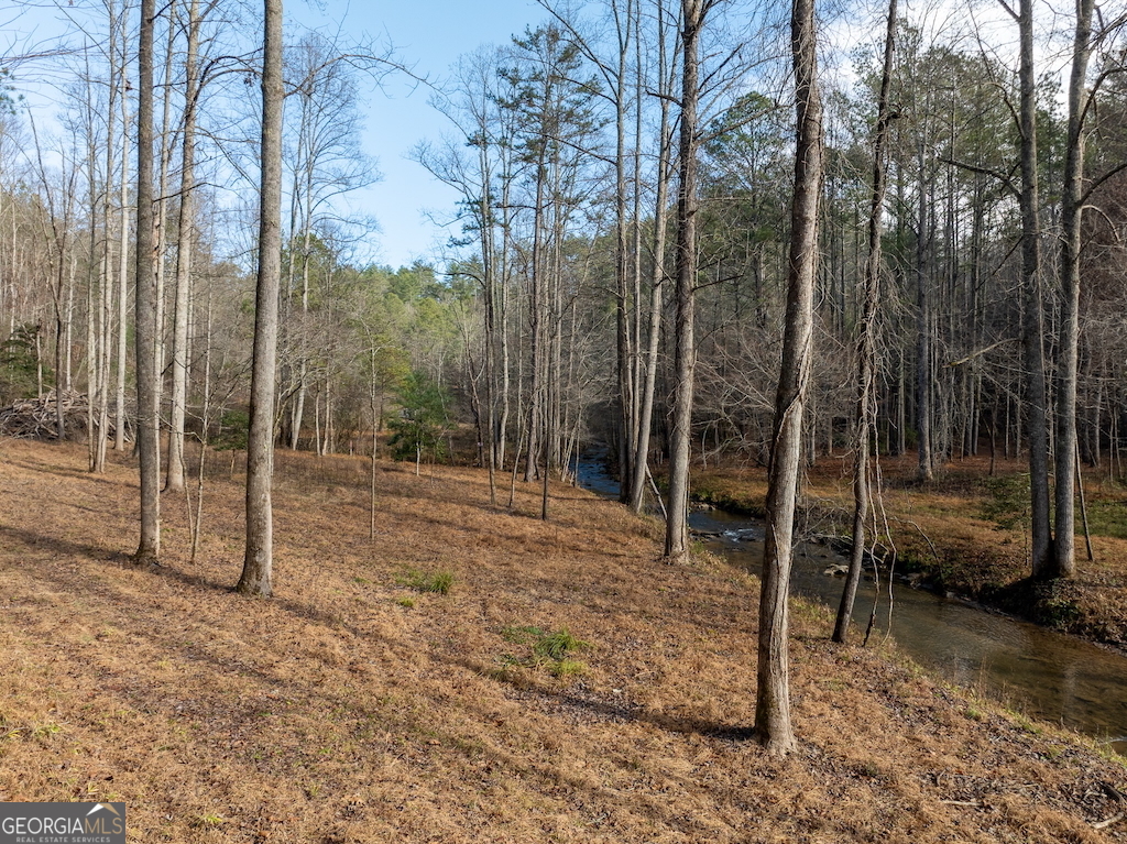 780 Banks Road Ellijay, GA 30540 - Photo 16 of 25