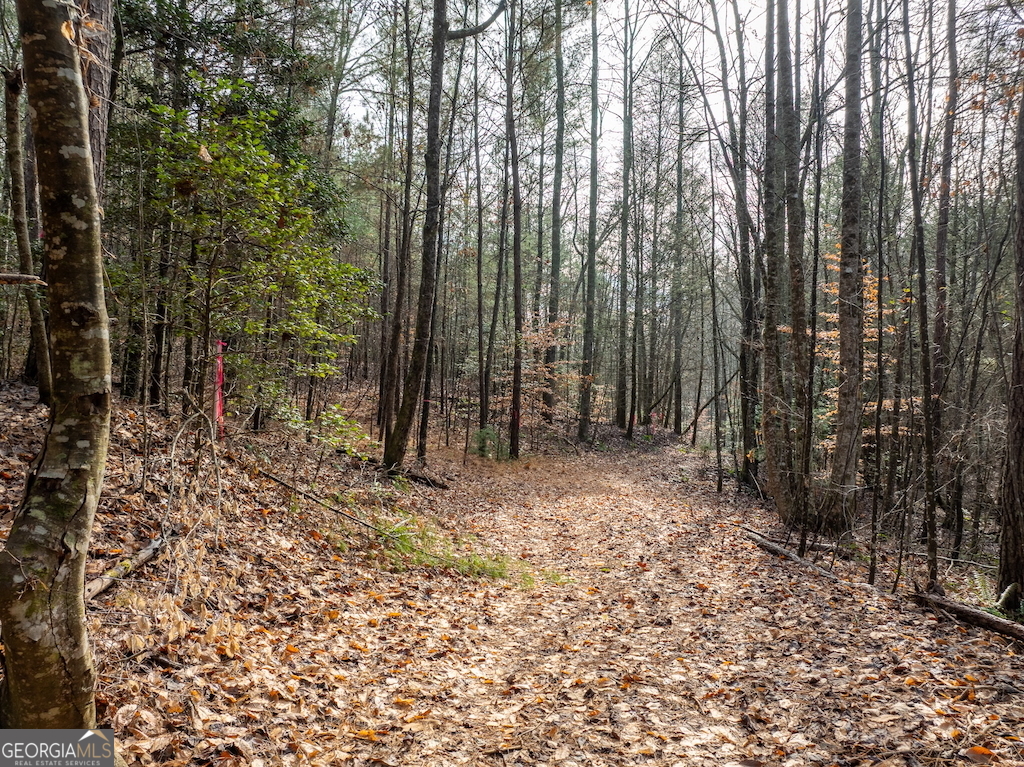 780 Banks Road Ellijay, GA 30540 - Photo 17 of 25 a view of outdoor space with lots of trees