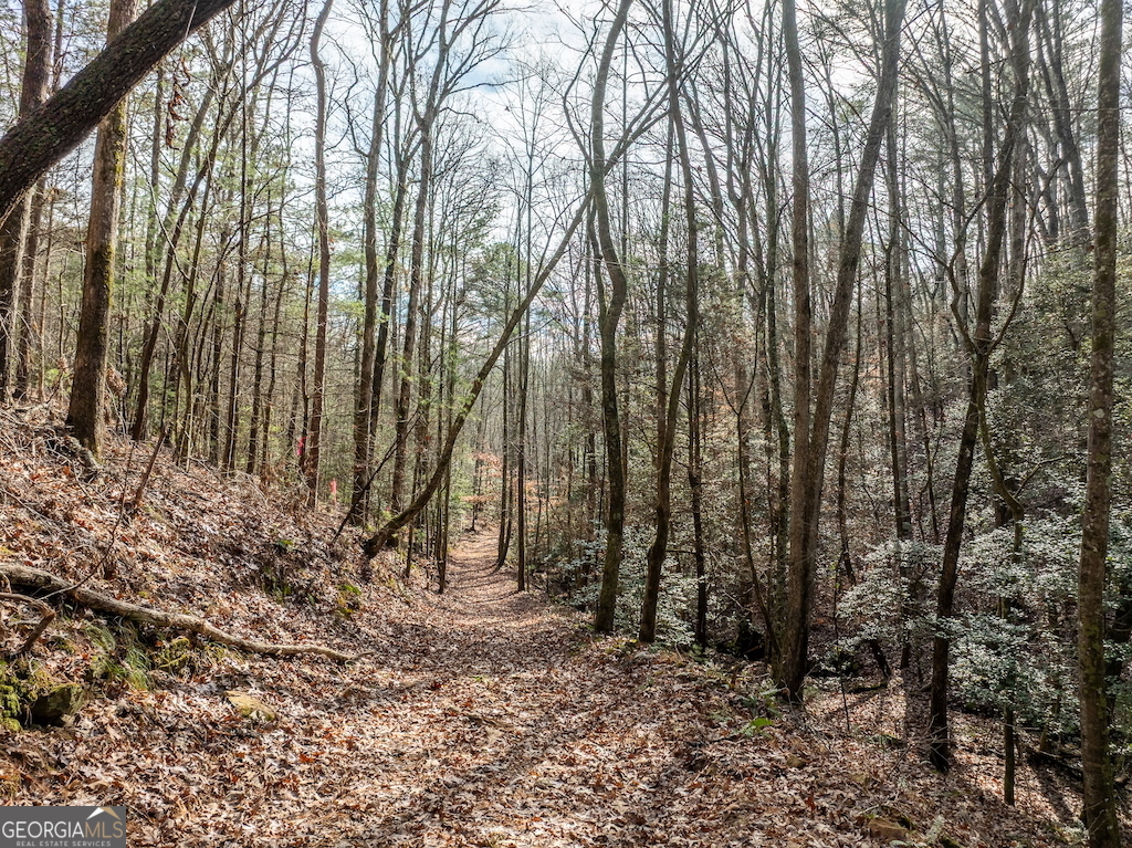 780 Banks Road Ellijay, GA 30540 - Photo 19 of 25 a view of backyard with green space