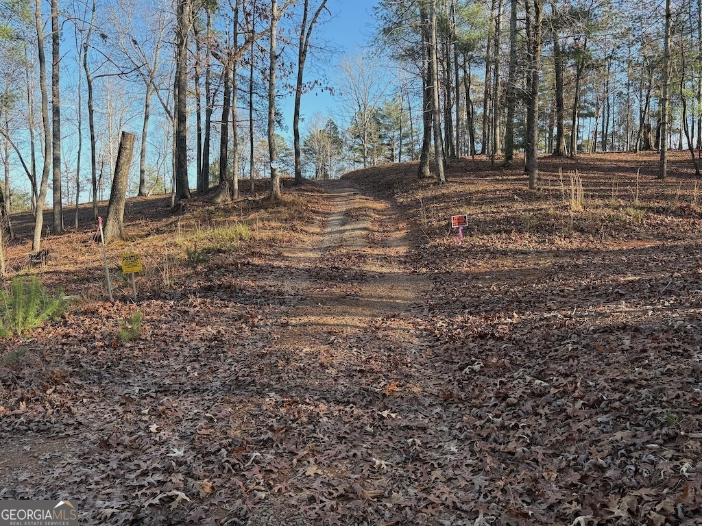 780 Banks Road Ellijay, GA 30540 - Photo 20 of 25 a backyard of a house with lots of green space