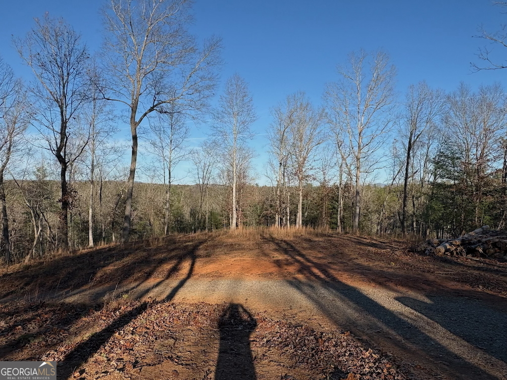 780 Banks Road Ellijay, GA 30540 - Photo 21 of 25 a view of a yard