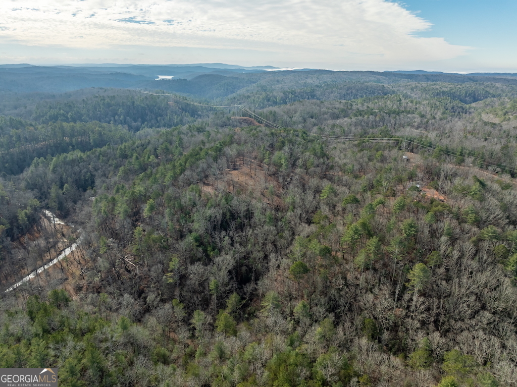 780 Banks Road Ellijay, GA 30540 - Photo 22 of 25 a view of an ocean