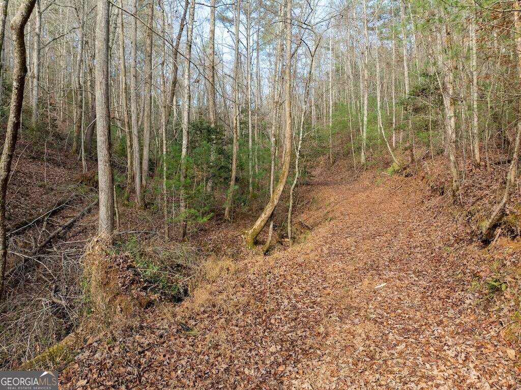 780 Banks Road Ellijay, GA 30540 - Photo 23 of 25 a view of outdoor space with green space